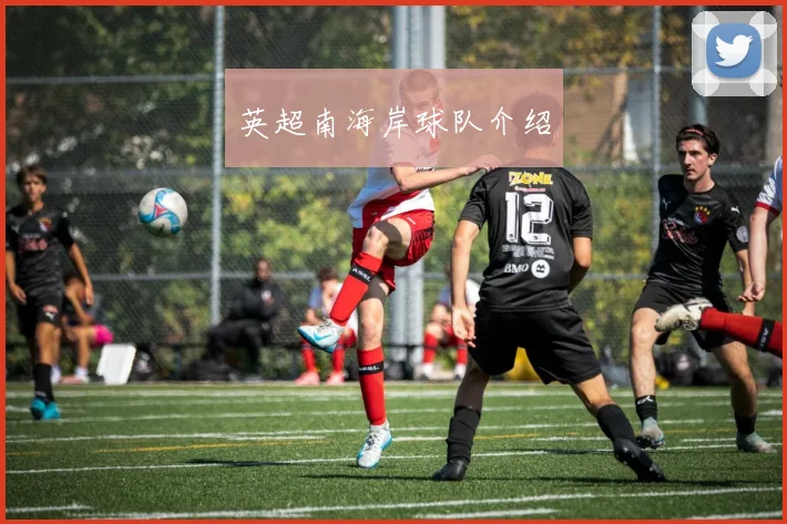 英超南海岸球队介绍
